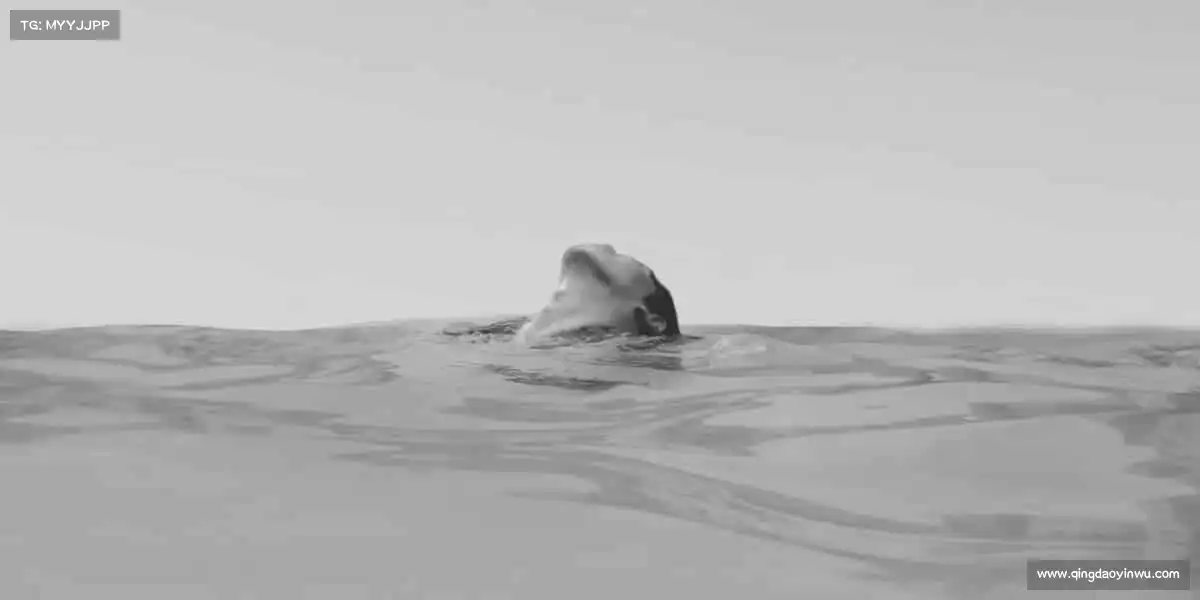 我们的核心竞争力